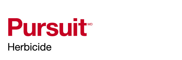 Pursuit logo